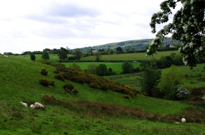 Rough pasture near Ffynnon-y-cwrw. This land was first added to Brymbo after the 14th century creation of Minera: the more fertile fields in the distance are in Minera township.